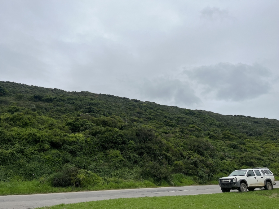0 Bedroom Property for Sale in Amsterdamhoek Eastern Cape
